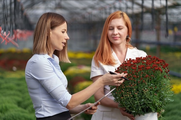 gmbh kaufen berlin GmbH-Kauf bedingungen leasing gmbh kaufen mit arbeitnehmerüberlassung