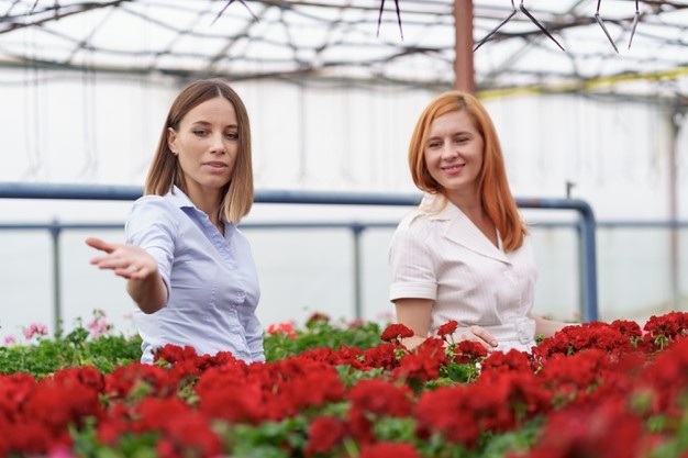 Bürgschaften GmbH bedingungen gmbh kaufen 1 euro Unternehmensberatung